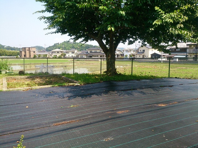 公園画像