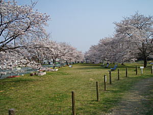 公園画像