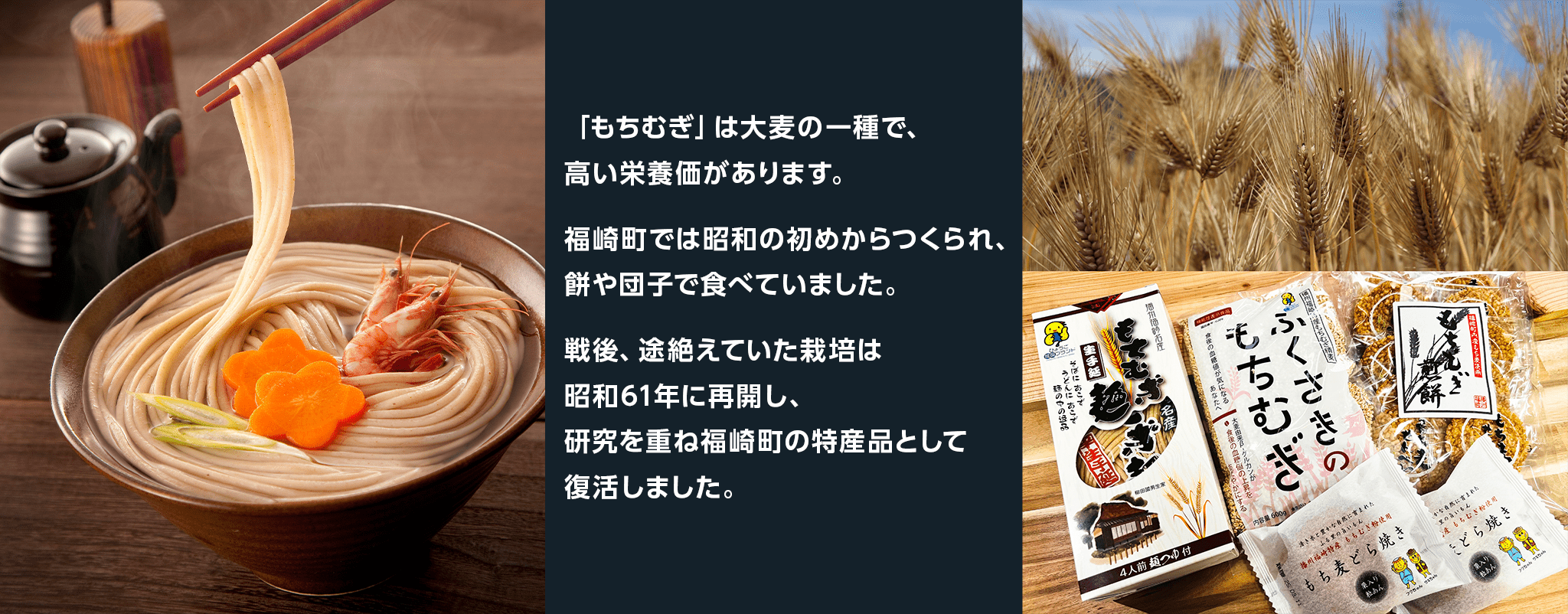 「もちむぎ」は大麦の一種で、高い栄養価があります。福崎町では昭和の初めからつくられ、餅や団子で食べていました。戦後、途絶えていた栽培は昭和61年に再開し、研究を重ね福崎町の特産品として復活しました。