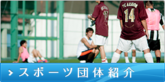スポーツ団体紹介